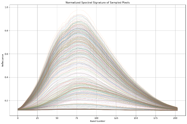 Basic Processing Output